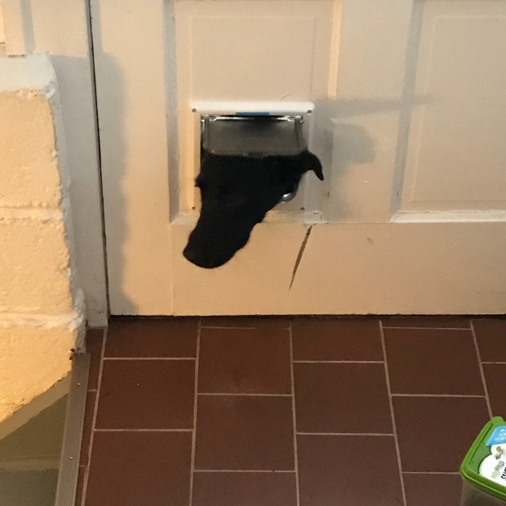 Meet your Posher, Ashton